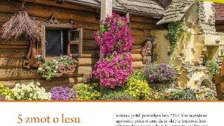 Prispevek v reviji Skupaj za zdravje človeka in narave